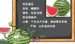 情意吃瓜知乎免费阅读,揭秘知乎免费阅读背后的故事