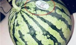 吃网红水果瓜,甜蜜诱惑，健康生活新选择