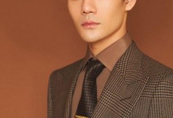 娱乐大爆料王凯王子异,娱乐大爆料幕后故事揭晓