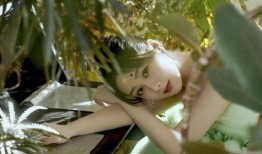 娱乐圈八卦爆料最新白鹿视频,娱乐圈神秘事件再掀波澜