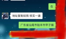 陆丰内湖爆料事件视频,真相与争议的交织