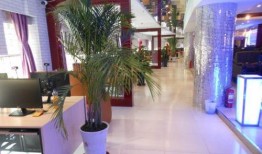 石家庄网吧最新爆料,揭秘最新爆料背后的行业变革