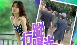 魏大勋秦岚爆料了吗视频,揭秘幕后故事与精彩瞬间