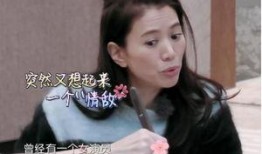 袁咏仪爆料张智霖视频,娱乐圈再掀波澜