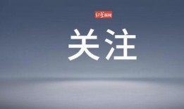 时事爆料视频,最新视频曝光惊人内幕
