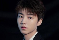 娱乐圈爆料 王俊凯是谁