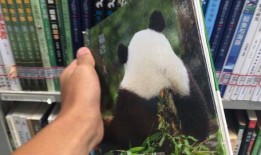 大哥爆料熊猫视频,熊猫视频背后的精彩瞬间