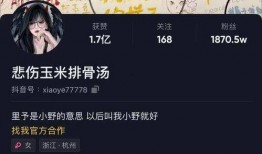 宁波上井爆料事件视频曝光,视频曝光引发社会关注