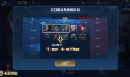 最新王者大爆料视频,揭秘新版本神秘英雄与全新游戏机制