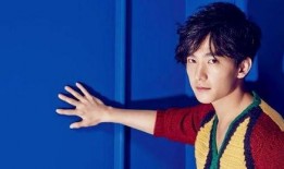 娱乐圈八卦爆料杨洋,娱乐圈再掀波澜