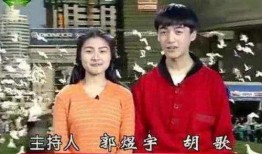 主持人爆料冯导视频大全,主持人爆料背后的真相