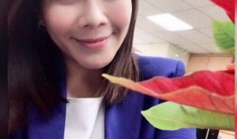 伍太太张丽前夫爆料视频,揭秘婚姻背后的惊人真相