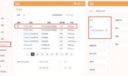 以前高招s最新爆料,内幕曝光，招生黑幕全解析