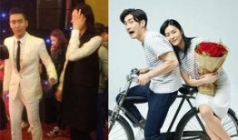 娱乐大爆料夫妻节目,夫妻档明星的甜蜜与挑战