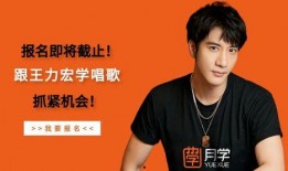 王力宏专辑爆料视频,独家视频爆料背后的故事