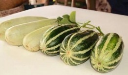免费吃瓜网红,揭秘网络红人的神秘世界