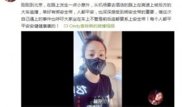 北京大鹏被爆料视频,揭秘事件背后惊人真相