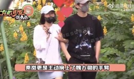 魏大勋秦岚爆料了吗视频,揭秘幕后故事与精彩瞬间