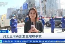 记者拆包爆料案例视频,视频背后的真相与挑战