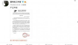 天王老婆爆料视频播放,揭秘娱乐圈背后的真相