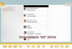 爆料视频教学,爆料视频中的教学秘密大公开