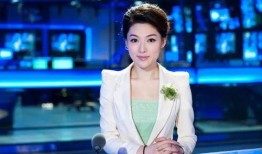 主持人爆料冯导视频大全,主持人爆料背后的真相