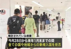 日本政府最新爆料,最新情报揭示重大国际事件背后真相”