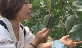 吃瓜网红事件新疆