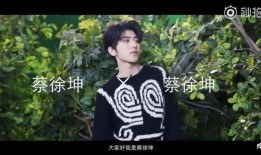 蔡徐坤视频爆料,娱乐圈背后的真相