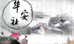 清明皮肤爆料视频大全,视觉盛宴与神秘揭晓