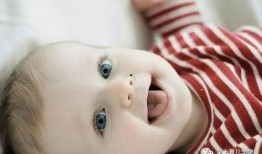 从婴儿开始吃瓜系统小说免费,从婴儿到少年的甜蜜成长记