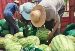 沾化区吃瓜最新事件爆料,揭秘背后真相与争议