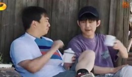 最新季节爆料新闻视频,最新季节爆料，带你领略秋季魅力瞬间