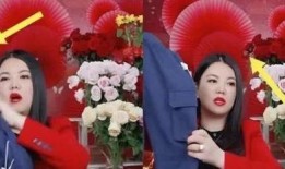 爆料李湘房东视频大全,揭秘豪宅生活背后的真相