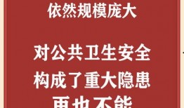在线观看无毒的,在线观影的纯净之旅