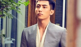 圈内人士爆料黄景瑜八卦,揭秘娱乐圈背后的风云人物