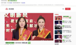央视爆料薇娅视频大全下载,揭秘网红带货背后的真相