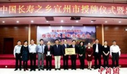 广西宜州新闻爆料,突发事件引发关注，最新进展揭晓