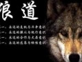 狼道网友爆料事件视频,揭秘事件背后真相