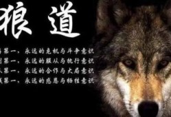 狼道网友爆料事件视频,揭秘事件背后真相