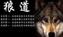 狼道网友爆料事件视频,揭秘事件背后真相