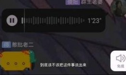 爆料解说视频怎么做的好,轻松打造热门内容