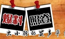 新闻大爆料500字,揭秘惊天秘密，真相令人震惊！