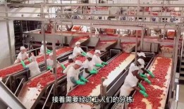 鸭爪制造工厂爆料视频大全,工厂爆料视频大全深度解析