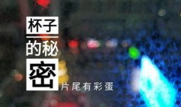 酒店的视频爆料违法吗,违法界限何在？