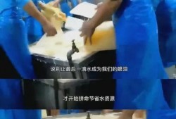天津学校爆料者事件视频,真相与争议的交锋