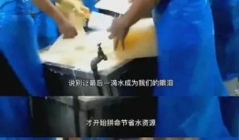 天津学校爆料者事件视频,真相与争议的交锋