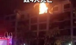 郑州火灾爆料视频,视频揭露惊人细节