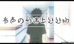 声之行在线观看视频,探寻声音的奇妙旅程