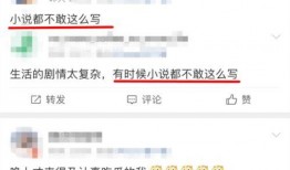 娱乐圈爆料贴吧小说,揭秘明星背后的秘密与真相